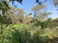 Maji Moto Hot Spring